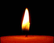 Vela