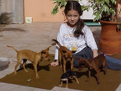 Uma  Família