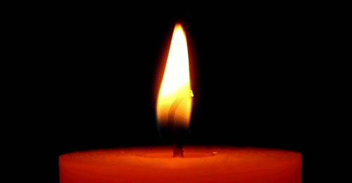 Vela